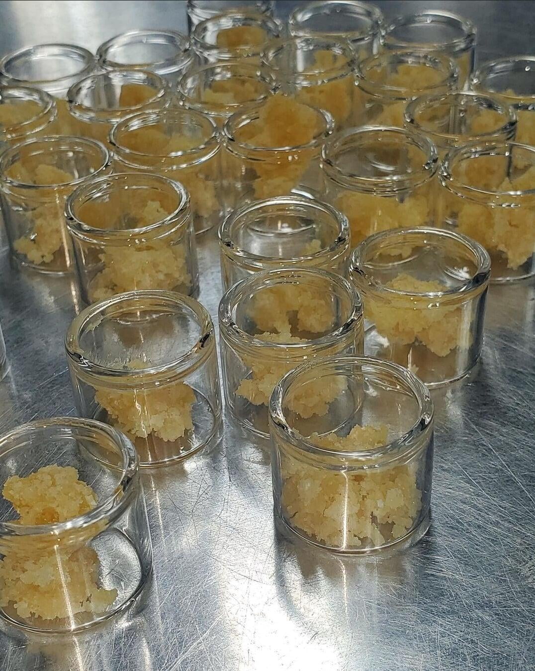 Juicer Extractions Home